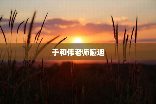 于和伟老师蹦迪