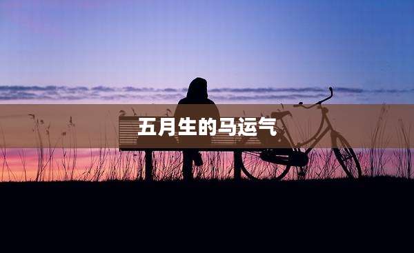 五月生的马运气