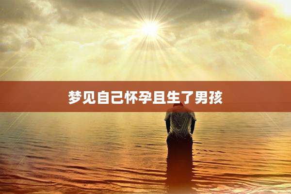 梦见自己怀孕且生了男孩