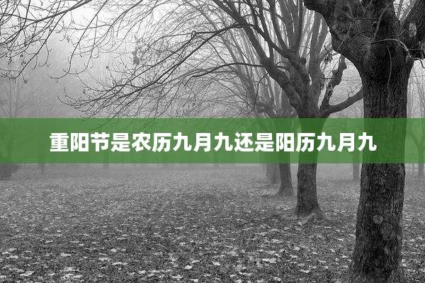 重阳节是农历九月九还是阳历九月九