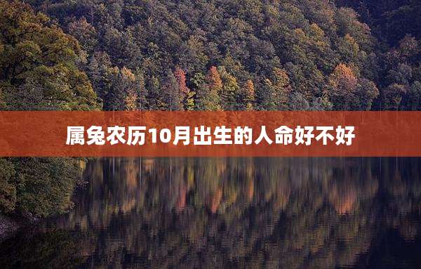 属兔农历10月出生的人命好不好