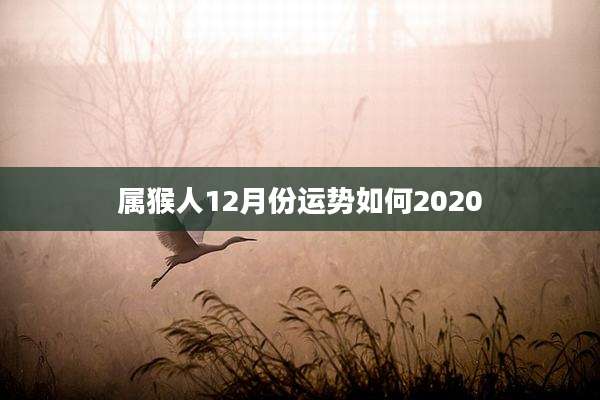 属猴人12月份运势如何2020