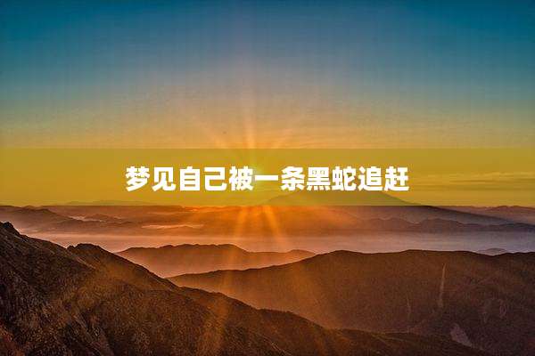 梦见自己被一条黑蛇追赶
