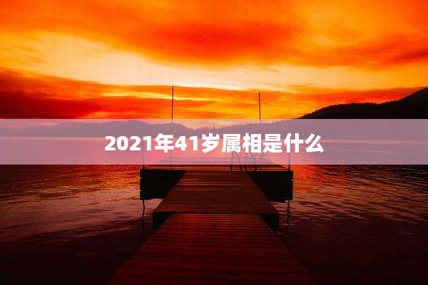 2021年41岁属相是什么