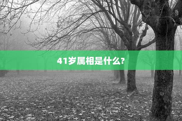 41岁属相是什么?