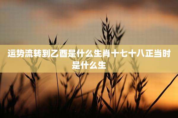 运势流转到乙酉是什么生肖十七十八正当时是什么生