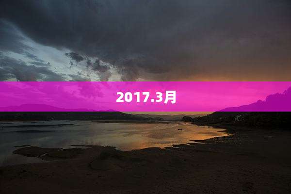 2017.3月