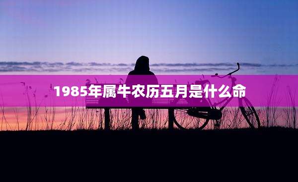 1985年属牛农历五月是什么命
