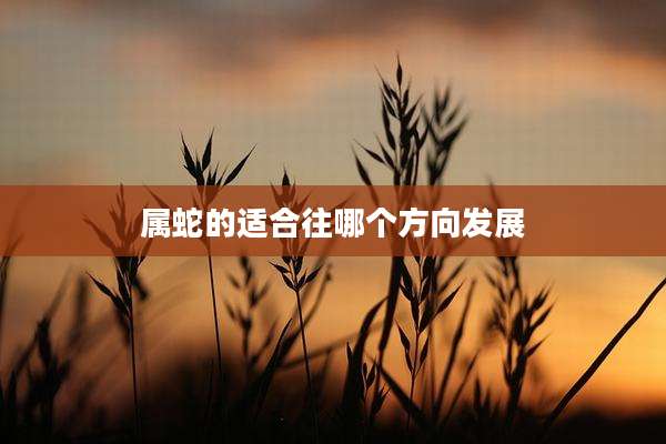 属蛇的适合往哪个方向发展