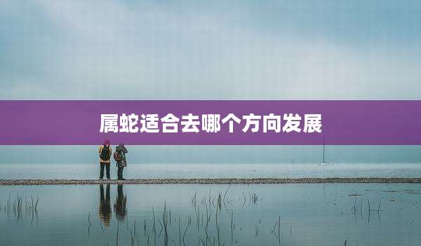 属蛇适合去哪个方向发展