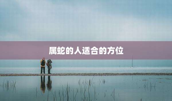 属蛇的人适合的方位