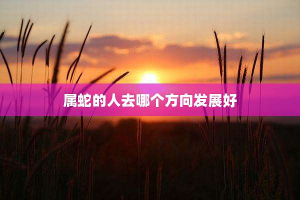 属蛇的人去哪个方向发展好