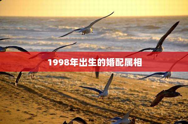 1998年出生的婚配属相
