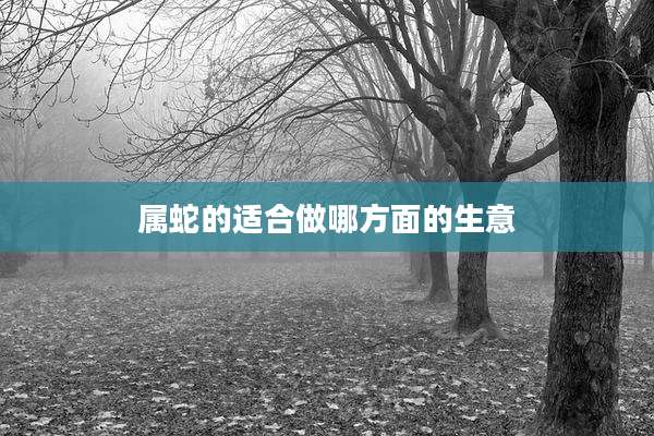 属蛇的适合做哪方面的生意