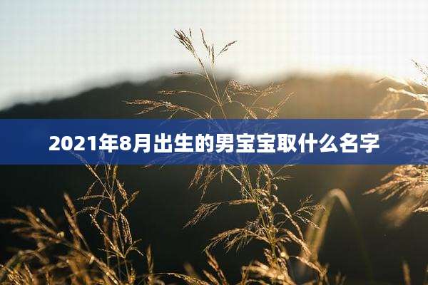 2021年8月出生的男宝宝取什么名字