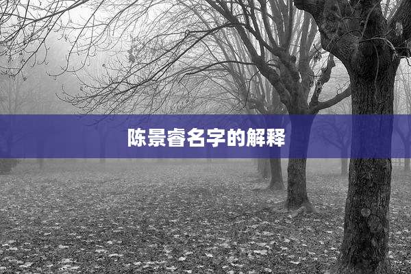 陈景睿名字的解释