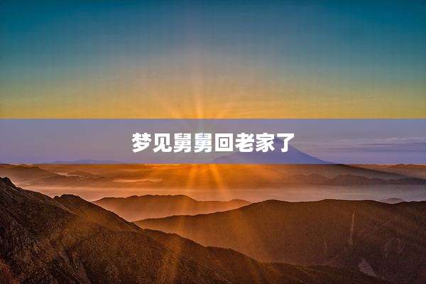 梦见舅舅回老家了