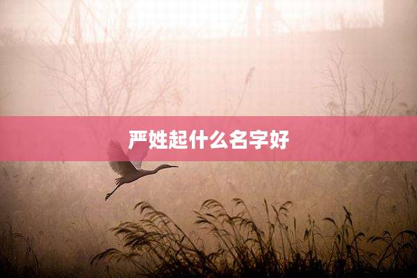 严姓起什么名字好