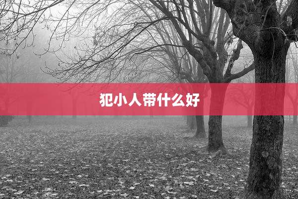 犯小人带什么好