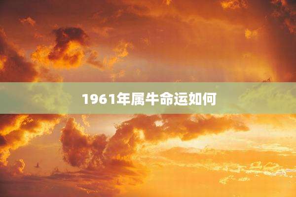 1961年属牛命运如何