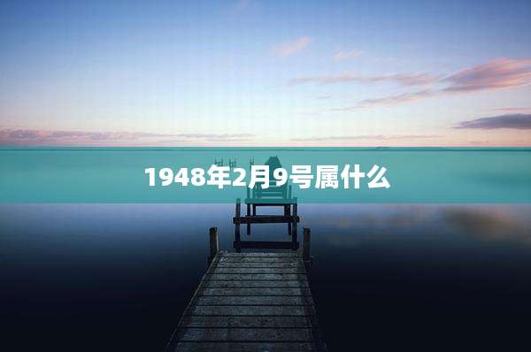 1948年2月9号属什么