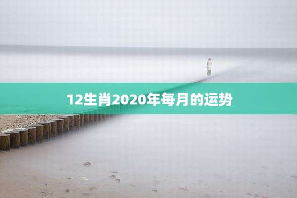 12生肖2020年每月的运势