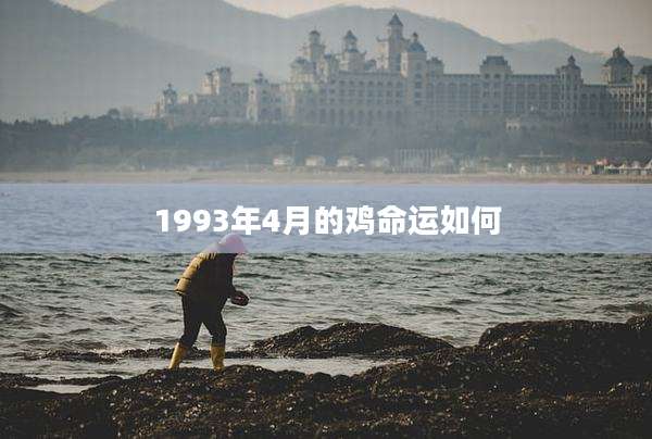 1993年4月的鸡命运如何