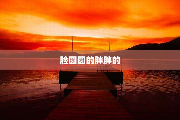 脸圆圆的胖胖的