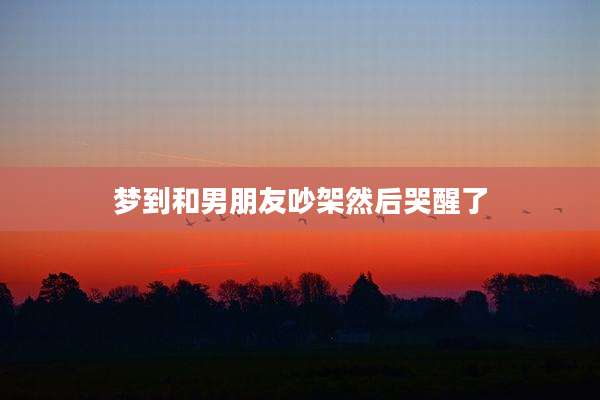 梦到和男朋友吵架然后哭醒了