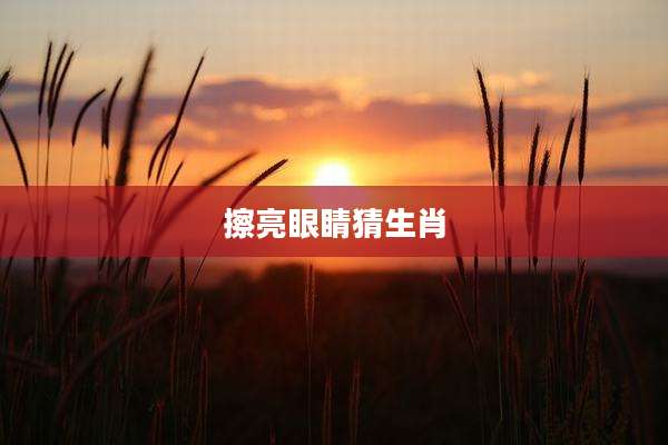 擦亮眼睛猜生肖