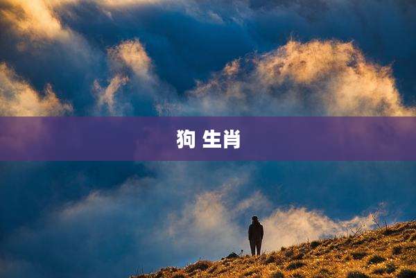 狗 生肖