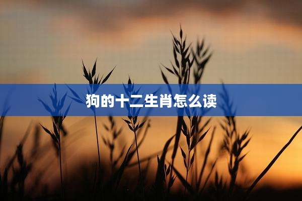 狗的十二生肖怎么读
