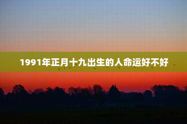 1991年正月十九出生的人命运好不好