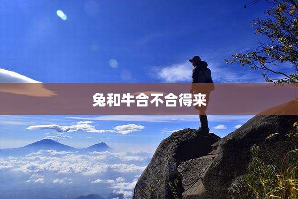 兔和牛合不合得来