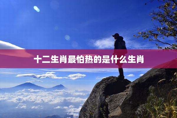 十二生肖最怕热的是什么生肖