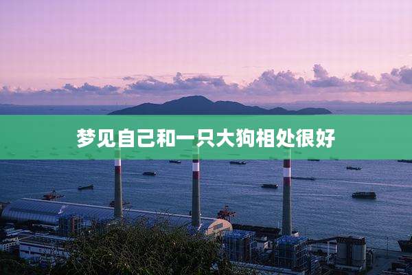 梦见自己和一只大狗相处很好