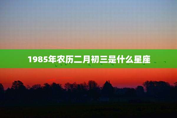1985年农历二月初三是什么星座