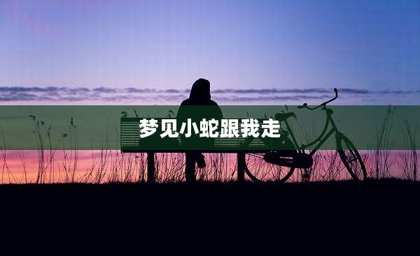 梦见小蛇跟我走
