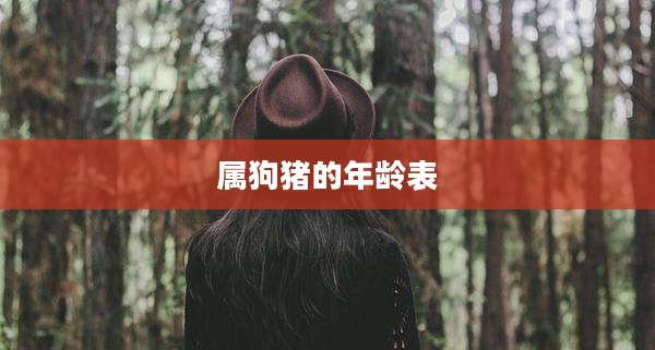 属狗猪的年龄表