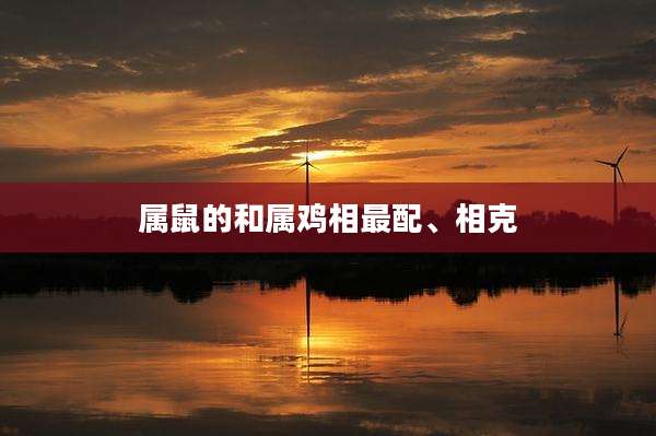 属鼠的和属鸡相最配、相克