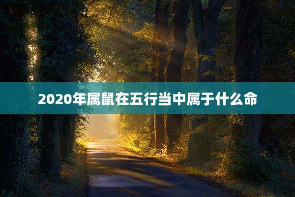 2020年属鼠在五行当中属于什么命