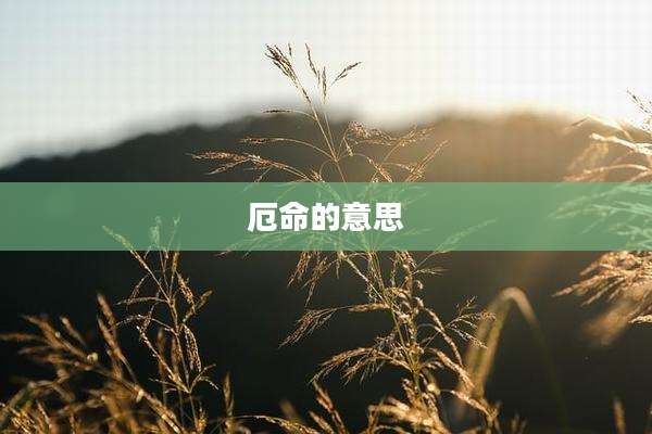 厄命的意思