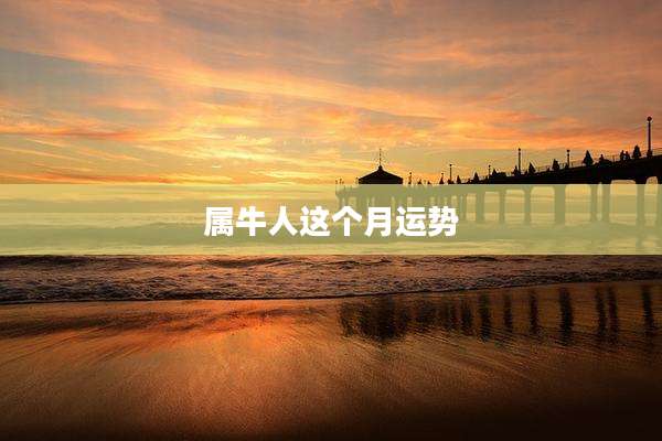 属牛人这个月运势