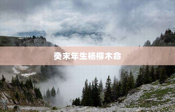 癸末年生杨柳木命