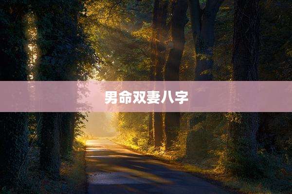 男命双妻八字