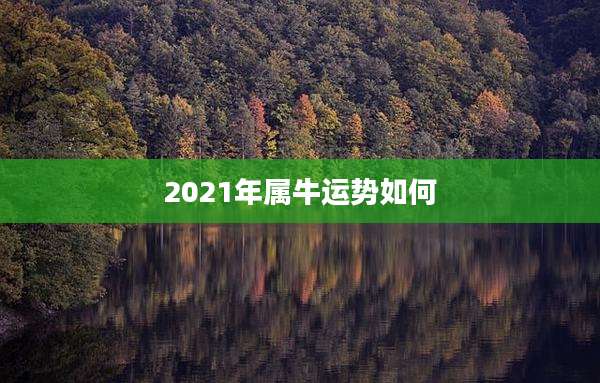2021年属牛运势如何