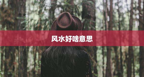 风水好啥意思