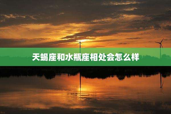 天蝎座和水瓶座相处会怎么样