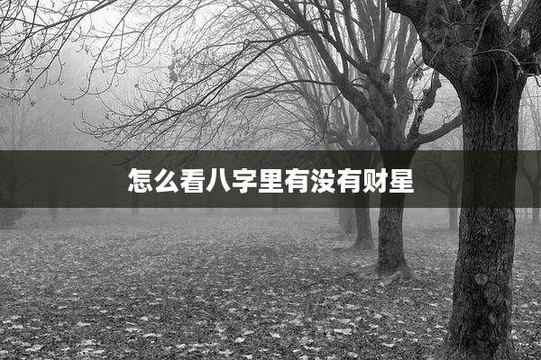 怎么看八字里有没有财星
