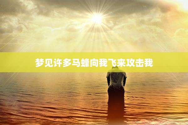 梦见许多马蜂向我飞来攻击我